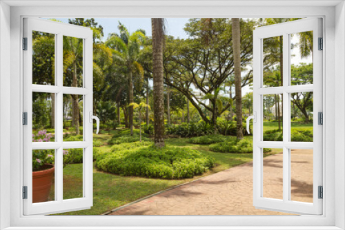 Fototapeta Naklejka Na Ścianę Okno 3D - Palm collection in сity park in Kuching, Malaysia, tropical garden with large trees and lawns.