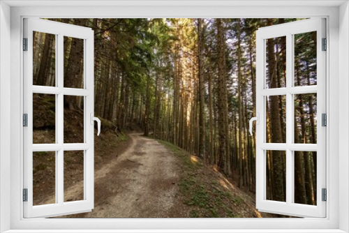 Fototapeta Naklejka Na Ścianę Okno 3D - View of a road in the woods