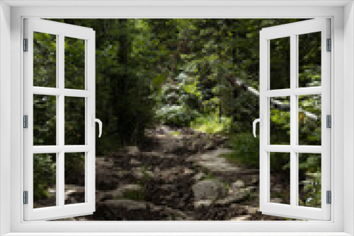 Fototapeta Naklejka Na Ścianę Okno 3D - Summer landscape with path in thicket green deciduous forest with boulders, ground, roots, green grass in morning. Beautiful wild outdoors for hiking and adventure, vertical.