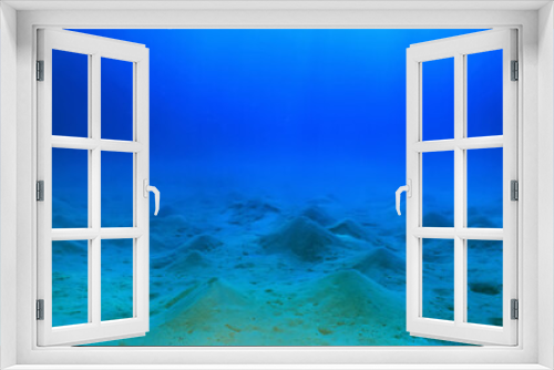 Fototapeta Naklejka Na Ścianę Okno 3D - panorama coral reef underwater landscape seascape