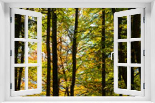 Fototapeta Naklejka Na Ścianę Okno 3D - Germany, Neuschwanstein Castle, autumn, maples, forest trail, maple forest trail