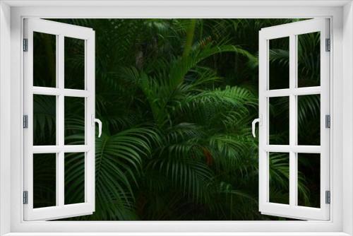 Fototapeta Naklejka Na Ścianę Okno 3D - Moody jungle plant background