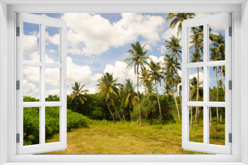 Fototapeta Naklejka Na Ścianę Okno 3D - Beautiful tropical palm trees in Asia