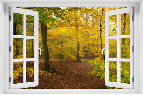 Fototapeta Naklejka Na Ścianę Okno 3D - Herbststimmung im Münsterland