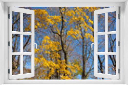 Fototapeta Naklejka Na Ścianę Okno 3D - autumn maple trrees