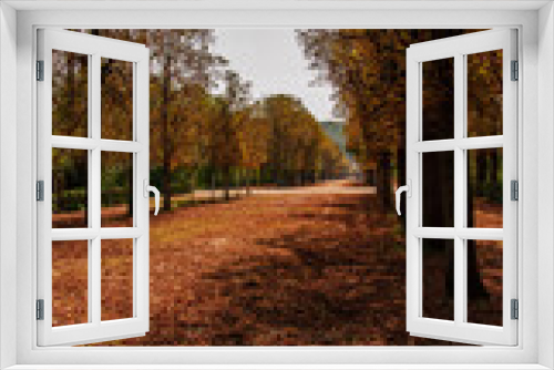 Fototapeta Naklejka Na Ścianę Okno 3D - autumn in the park of Schönbrunn Palace