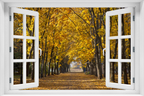 Fototapeta Naklejka Na Ścianę Okno 3D - Garden walkway with picturesque autumn trees