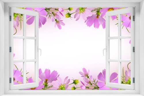 Fototapeta Naklejka Na Ścianę Okno 3D - Pink cosmos flowers in a floral frame on white or transparent background