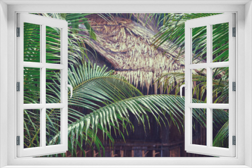 Fototapeta Naklejka Na Ścianę Okno 3D - Rain in tropical resort. Wet palm leaves.