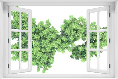Fototapeta Naklejka Na Ścianę Okno 3D - Field of plants isolated on transparent background. 3d rendering - illustration