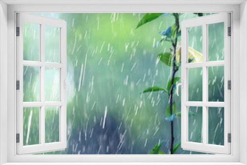 Fototapeta Naklejka Na Ścianę Okno 3D - spring rain background flowers springtime ecosystem water drop effect
