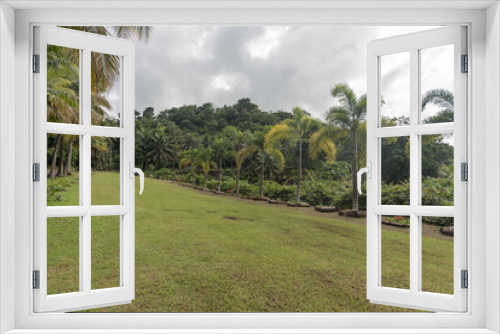 Fototapeta Naklejka Na Ścianę Okno 3D - Nature Landscape in Koror, Palau Island. Palm Tree, Green Grass. Flowers. Micronesia