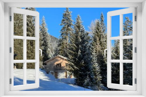 Fototapeta Naklejka Na Ścianę Okno 3D - Picturesque canopies of alpine trees in a typical winter atmosphere after the winter snowfall above the tourist resorts of Valbella and Lenzerheide in the Swiss Alps - Canton of Grisons, Switzerland