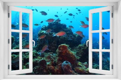 Fototapeta Naklejka Na Ścianę Okno 3D - School of fish swimming in the deep ocean. Underwater photography from the coral reef with fish. Tropical fish and corals. Marine life, animals in the sea.
