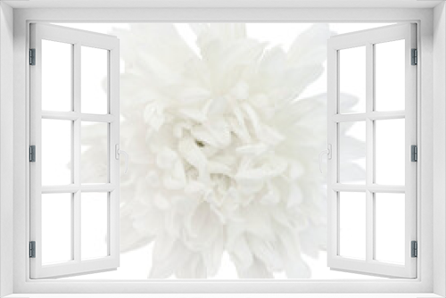 Fototapeta Naklejka Na Ścianę Okno 3D - Single white chrysanthemum isolated over white background. Clipping mask