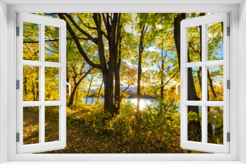 Fototapeta Naklejka Na Ścianę Okno 3D - Fall autumn colors overlooking the Mississippi River