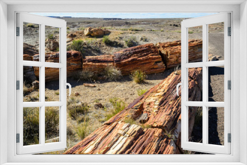 Fototapeta Naklejka Na Ścianę Okno 3D - Petrified logs in the Painted desert and Petrified Forest National Park, Arizona, USA.