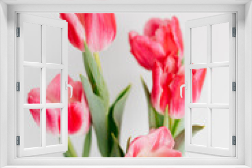 Fototapeta Naklejka Na Ścianę Okno 3D - Pink tulips and engagement rings with diamonds on white background. Background for Valentine's Day. Gift for Mother's Day, international Women's Day, March 8th. Spring Mock ups. Space for text