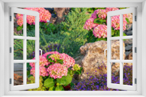 Fototapeta Naklejka Na Ścianę Okno 3D - A background photo carries summertime freshness. Botanical floral setting with tender types of flowers blooming: Hydrangea and Hortensia decorated with plant pots, bright green background and rocks.
