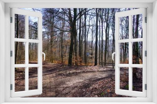 Fototapeta Naklejka Na Ścianę Okno 3D - Wandern durch den Teutoburger Wald - 