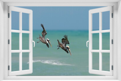 Fototapeta Naklejka Na Ścianę Okno 3D - Two Brown Pelican diving into the ocean for fish