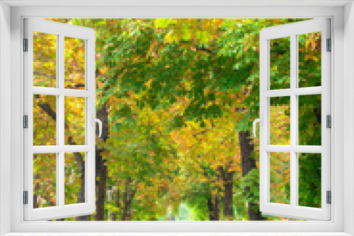 Fototapeta Naklejka Na Ścianę Okno 3D - Road along autumnal trees