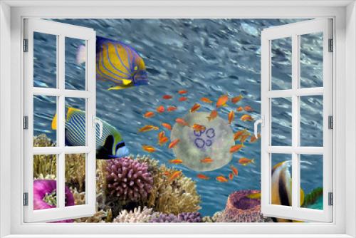 Fototapeta Naklejka Na Ścianę Okno 3D - Coral reef underwater with jellyfish