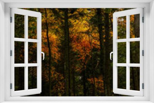 Fototapeta Naklejka Na Ścianę Okno 3D - autumn forest in the morning