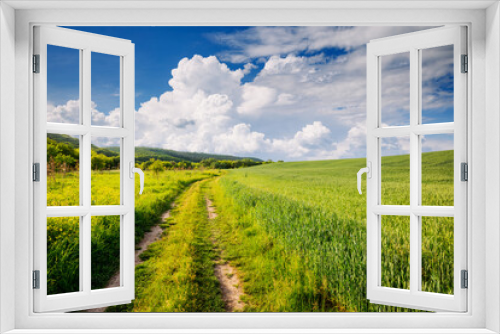 Fototapeta Naklejka Na Ścianę Okno 3D - Fantastic rural area with fresh green pasture and blue sky on a sunny day.