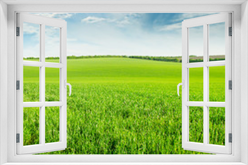 Fototapeta Naklejka Na Ścianę Okno 3D - green wheat field and blue cloudy sky