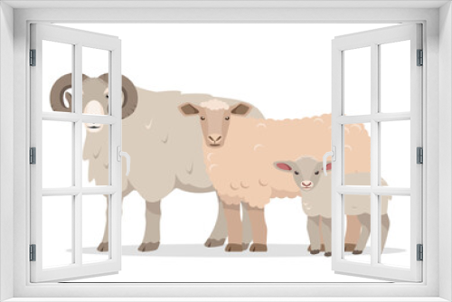 Fototapeta Naklejka Na Ścianę Okno 3D - Family of sheeps. Male and female farm animals. Sheep, ram and baby lamb icons. Wool production. Vector flat or cartoon illustration isolated on white background.