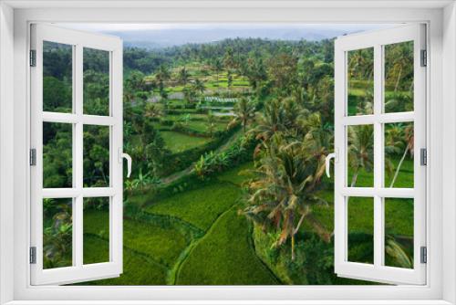 Fototapeta Naklejka Na Ścianę Okno 3D - East Lombok regency rice fields aerial view