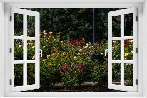 Fototapeta Naklejka Na Ścianę Okno 3D - Capitol Garden 