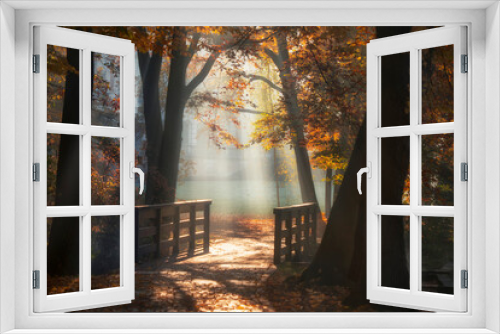 Fototapeta Naklejka Na Ścianę Okno 3D - Złota jesień