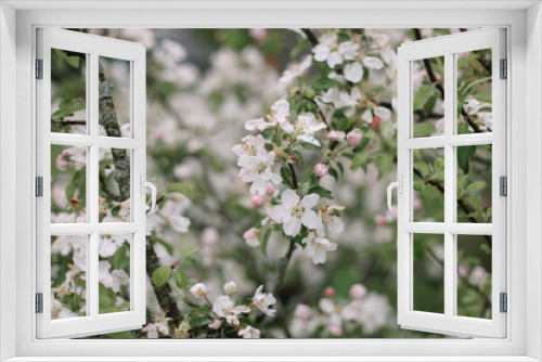 Fototapeta Naklejka Na Ścianę Okno 3D - Spring banner, branches of blossoming cherry against background of blue sky on nature outdoors. Dreamy romantic image spring, landscape panorama, copy space.