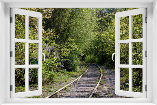 Fototapeta Naklejka Na Ścianę Okno 3D - railroad tracks in a park among thick bushes
