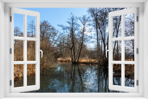 Fototapeta Naklejka Na Ścianę Okno 3D - Boniswiler Badi natural swimming pool in the Aabach river in Seengen