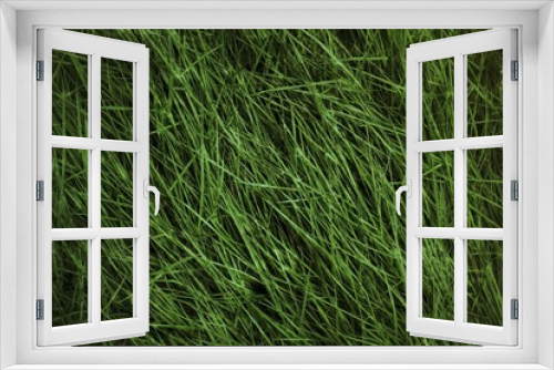 Fototapeta Naklejka Na Ścianę Okno 3D - green grass