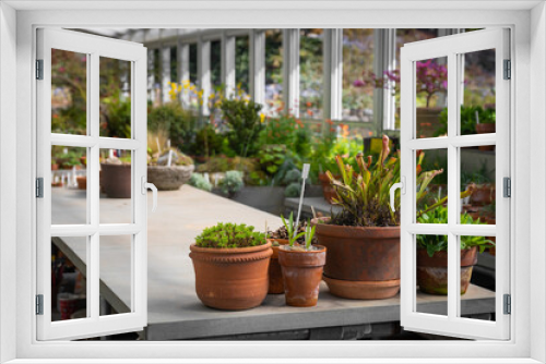 Fototapeta Naklejka Na Ścianę Okno 3D - flower bed in a greenhouse