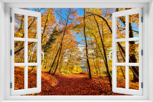Fototapeta Naklejka Na Ścianę Okno 3D - Fallen leaves covering pathway leading through colorful autumn woodland area