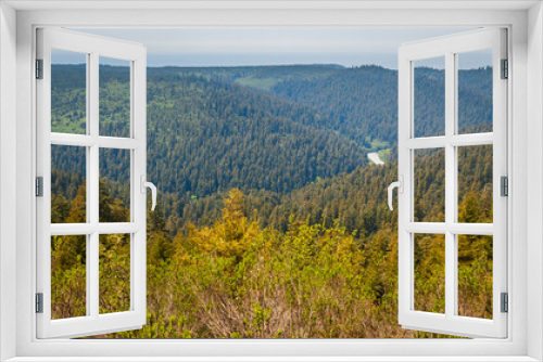 Fototapeta Naklejka Na Ścianę Okno 3D - Forest Overlook at Redwood National Park
