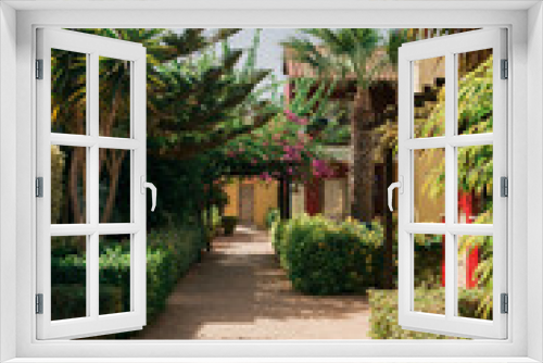 Fototapeta Naklejka Na Ścianę Okno 3D - Tropical garden with palm trees and shrubs in a resort, Agia-Napa, Cyprus