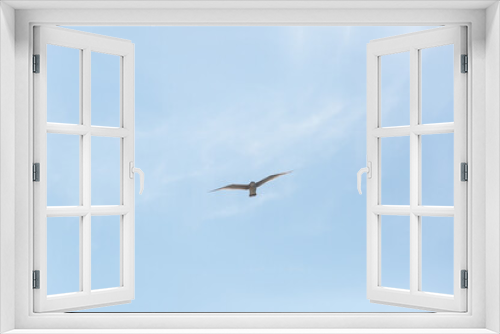 Fototapeta Naklejka Na Ścianę Okno 3D - Freedom