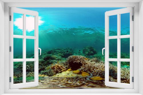 Fototapeta Naklejka Na Ścianę Okno 3D - Reef Coral Tropical Garden. Tropical underwater sea fish. Colourful tropical coral reef. Philippines. 360 panorama VR