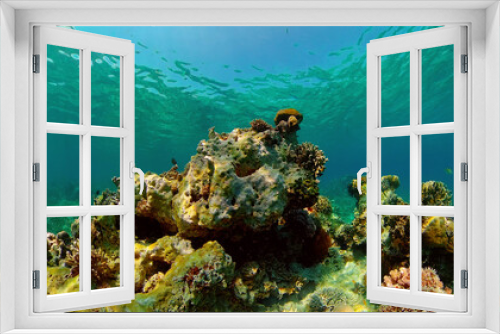 Fototapeta Naklejka Na Ścianę Okno 3D - Beautiful underwater landscape with tropical fish and corals. Hard and soft corals, underwater landscape. Travel vacation concept. Philippines.