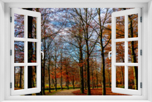 Fototapeta Naklejka Na Ścianę Okno 3D - Autumn in a park in the Netherlands

