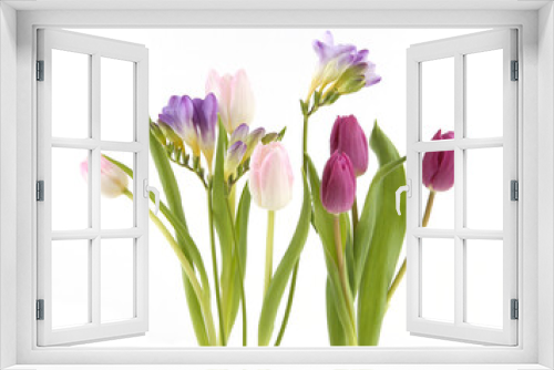 Fototapeta Naklejka Na Ścianę Okno 3D - Flowers Tulip and Freesia isolated on white background. Bouquet of purple pink spring flowers..