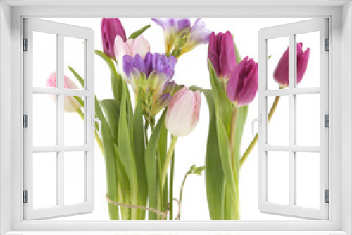 Fototapeta Naklejka Na Ścianę Okno 3D - Flowers Tulip and Freesia isolated on white background. Bouquet of purple pink spring flowers.