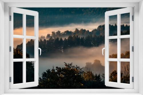Fototapeta Naklejka Na Ścianę Okno 3D - Forest in the fog