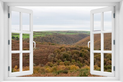Fototapeta Naklejka Na Ścianę Okno 3D - Landscape photo of the autumn colours at Horner woods in Somerset